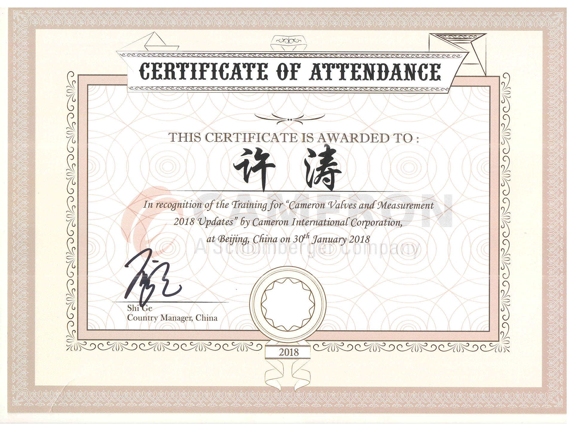 Xu Tao cameron certificate 180305