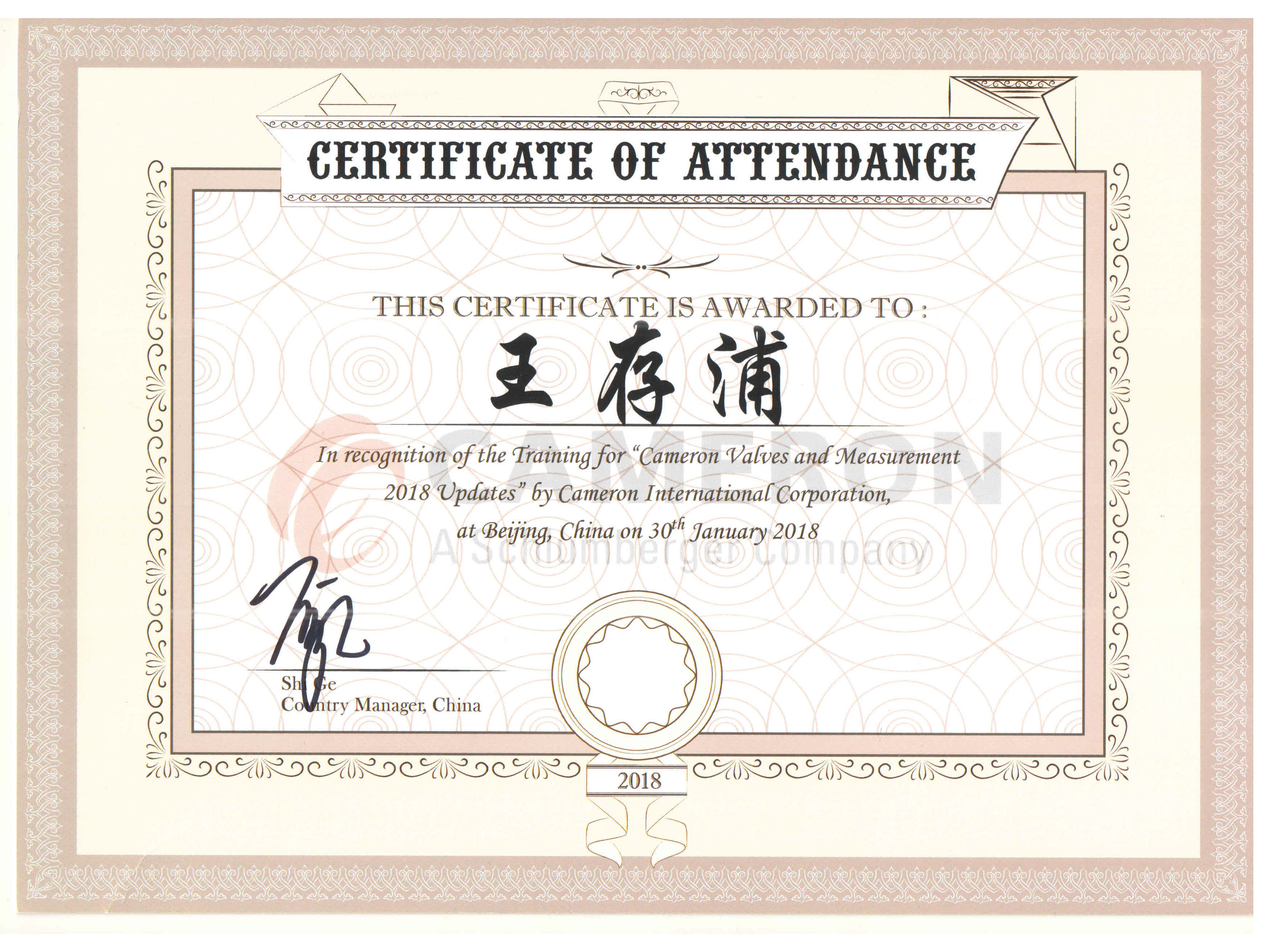 Wang Cunpu cameron certificate 180305