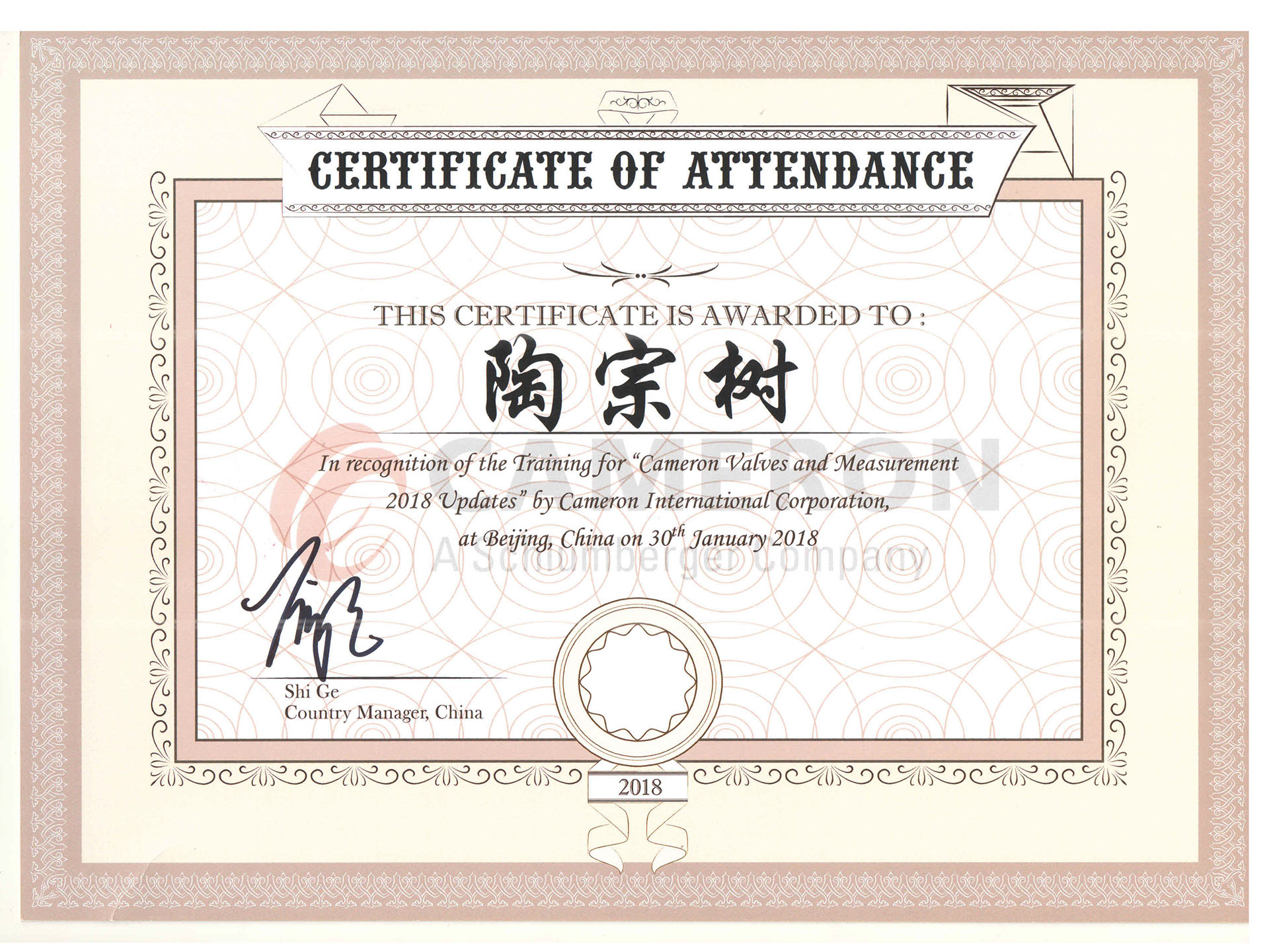 Tao Zongshu cameron certificate 180305